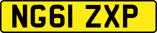 NG61ZXP