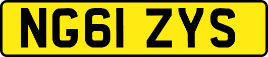 NG61ZYS