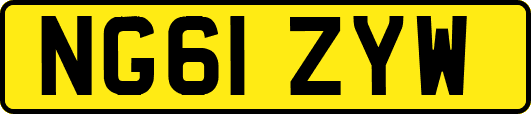 NG61ZYW