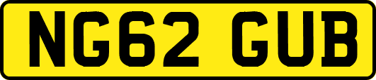 NG62GUB