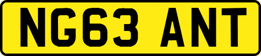 NG63ANT