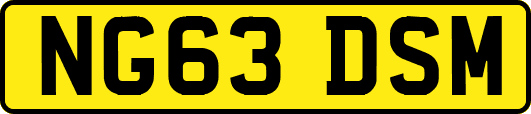 NG63DSM