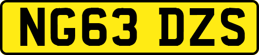 NG63DZS