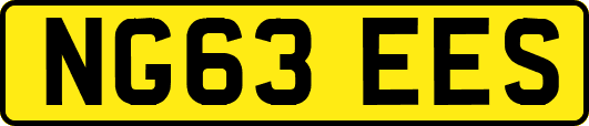NG63EES