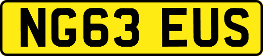NG63EUS