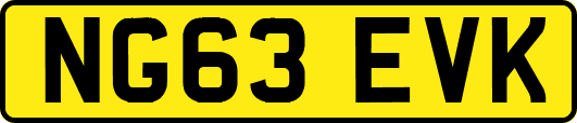 NG63EVK