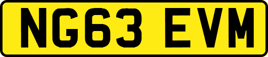 NG63EVM