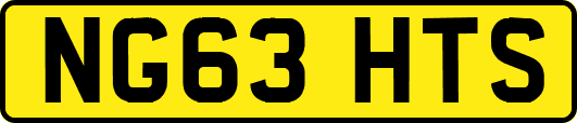 NG63HTS