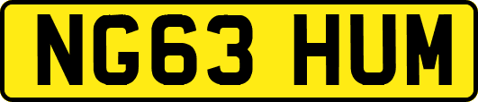 NG63HUM