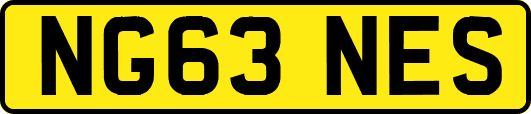 NG63NES