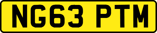 NG63PTM