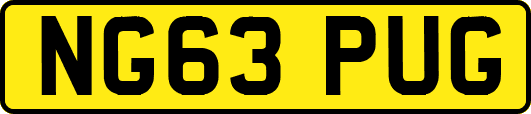 NG63PUG