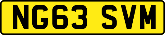 NG63SVM
