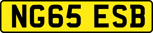 NG65ESB