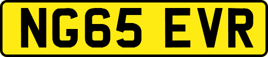 NG65EVR