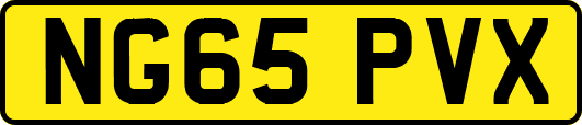 NG65PVX