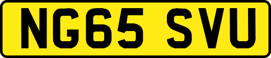 NG65SVU