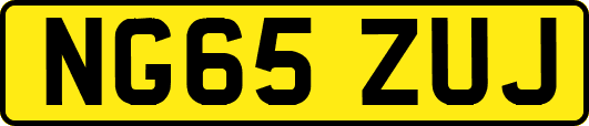 NG65ZUJ