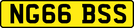NG66BSS