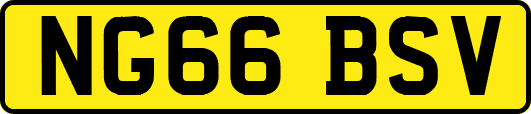 NG66BSV