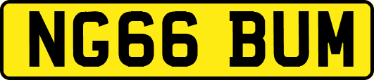 NG66BUM