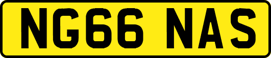 NG66NAS
