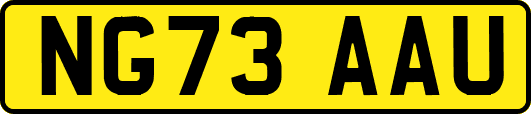 NG73AAU