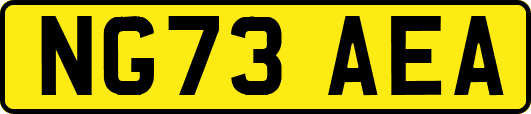 NG73AEA