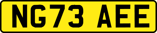 NG73AEE