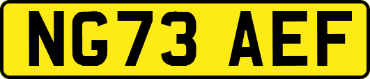 NG73AEF
