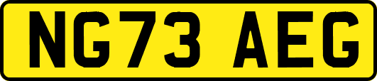 NG73AEG