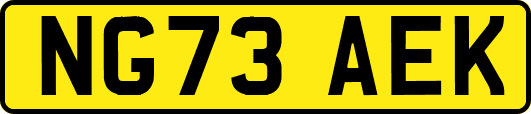 NG73AEK