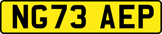 NG73AEP