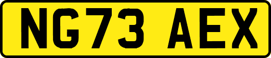 NG73AEX