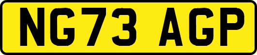 NG73AGP