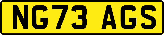 NG73AGS