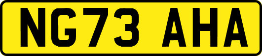 NG73AHA