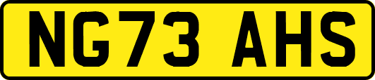 NG73AHS