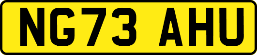 NG73AHU