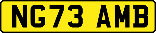 NG73AMB