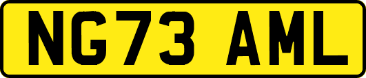 NG73AML