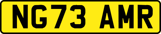 NG73AMR