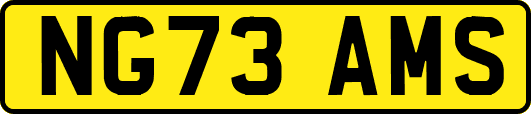 NG73AMS