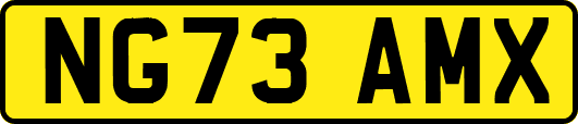 NG73AMX