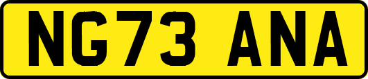 NG73ANA