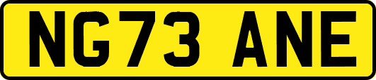 NG73ANE