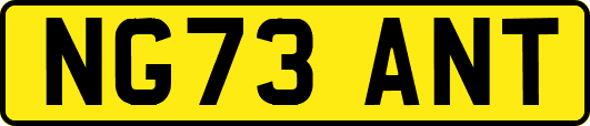 NG73ANT