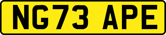 NG73APE