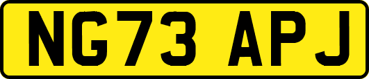 NG73APJ
