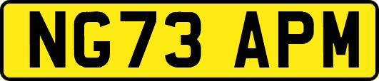 NG73APM